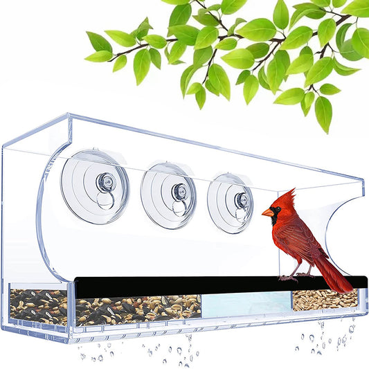 Acrylic Transparent Window Bird Feeder with 3 Suction Cups