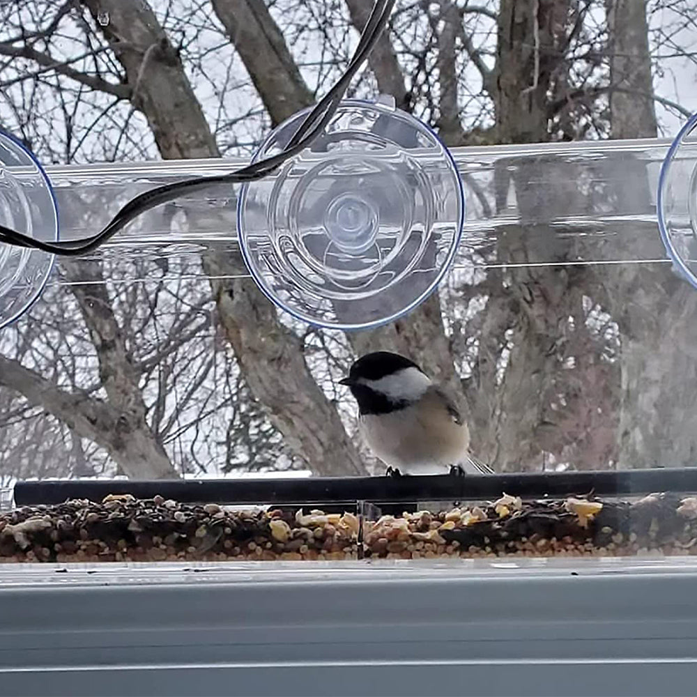Acrylic Transparent Window Bird Feeder with 3 Suction Cups