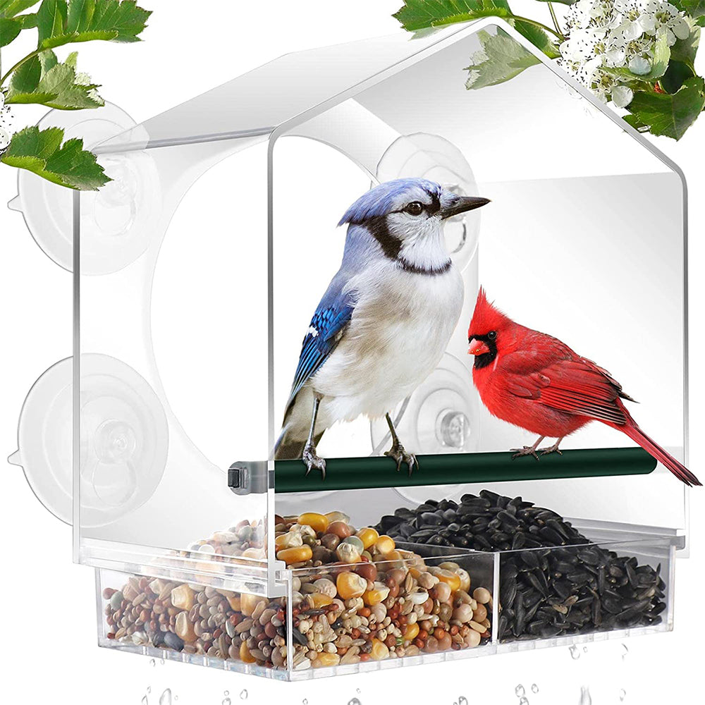 Acrylic Transparent Window Bird Feeder with 4 Suction Cups