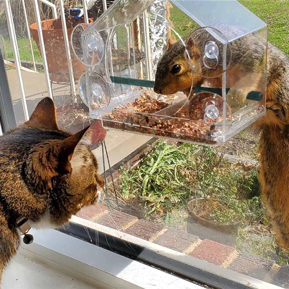 Acrylic Transparent Window Bird Feeder with 4 Suction Cups