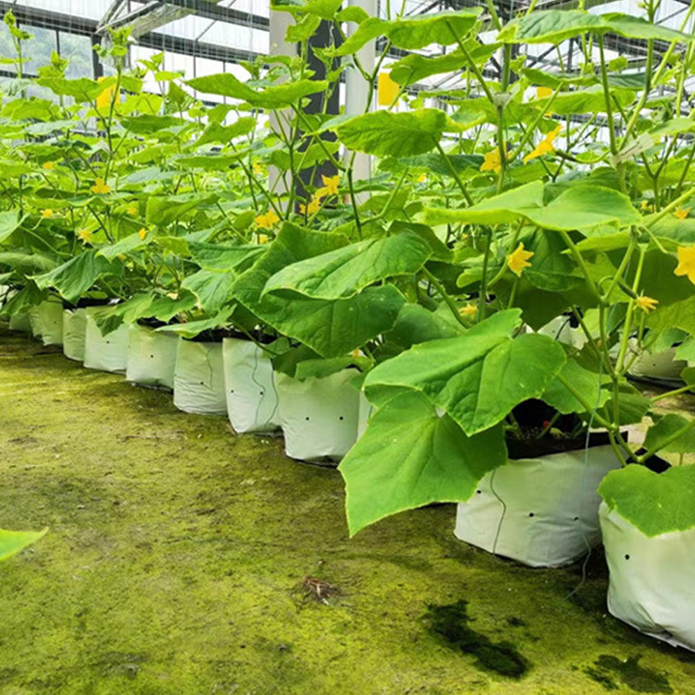 40Pcs PE Plant Nursery Bags Grow Bags Seedling Pot