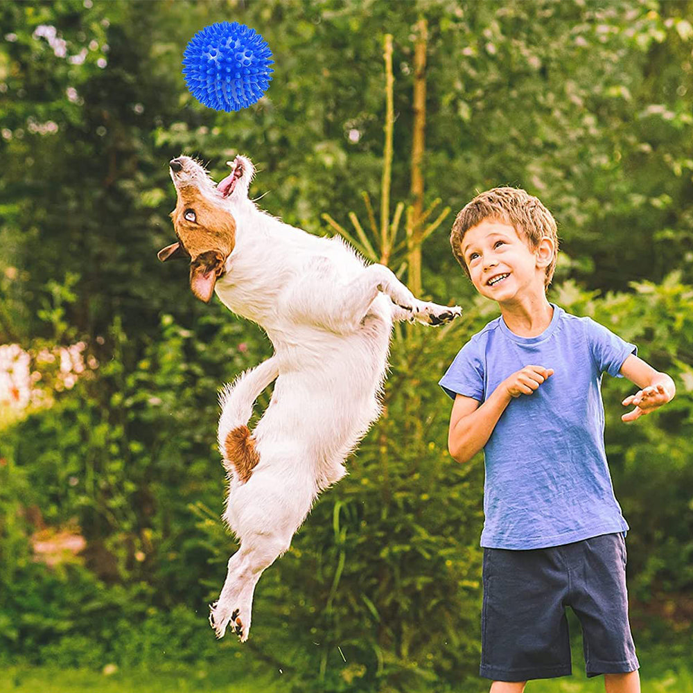 2X Pet Dog Squeaky Spiky Balls Toys Pet Chew Toys Blue Green