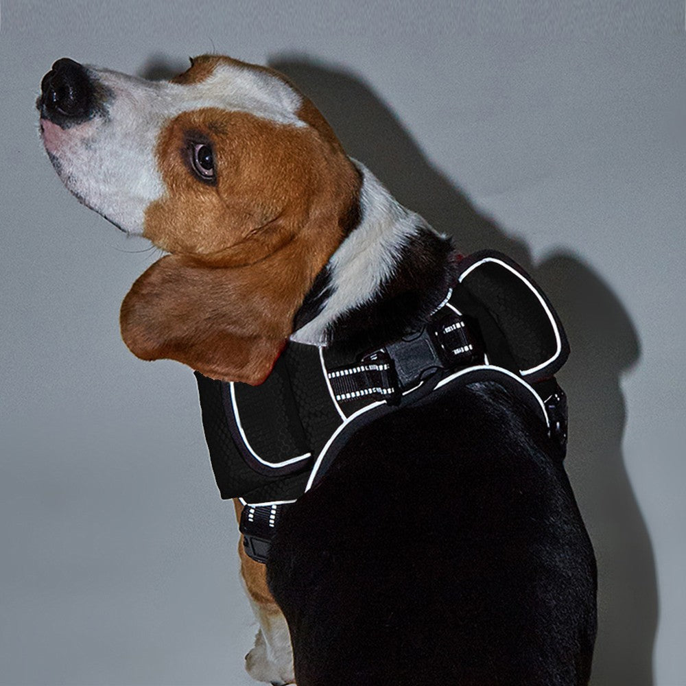 Pet Dog Harness Leash Collar for Airtag Set Reflective Breathable Vest Black XL