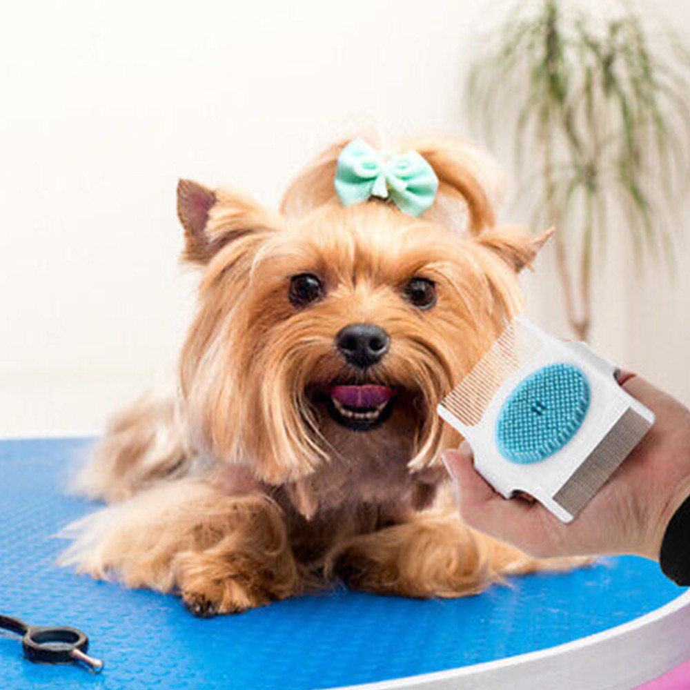 4Pcs 3 in 1 Pet Grooming Brush with Combs Cat Dog Massage Comb Random Color