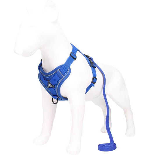 Dog Harness Leash Set No Pull Pet Vest Leash with Reflective Strip Blue XL