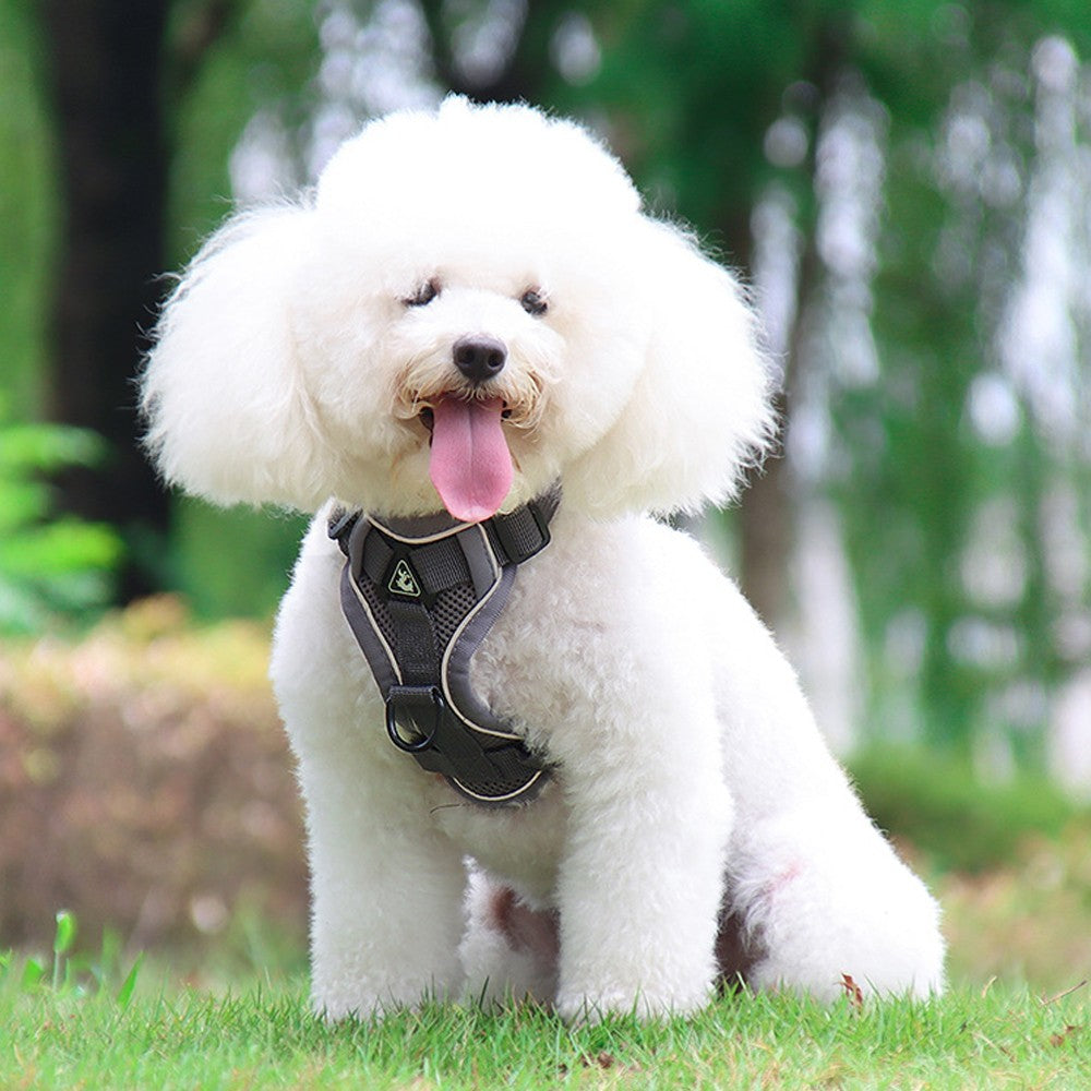 Dog Harness Leash Set No Pull Pet Vest Leash with Reflective Strip Grey S