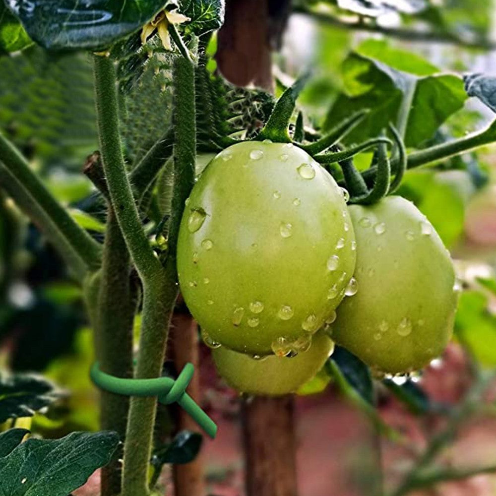 2 Rolls 20m Garden Tie Plant Trees Twist Wire Bundle Fence Cable Supporting Wire