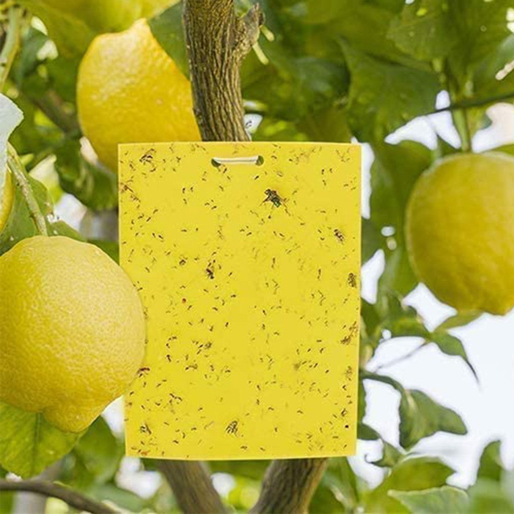 40Pcs Dual Sided Yellow Sticky Papers Insect Trap Catcher Killer Fly Aphids Wasp