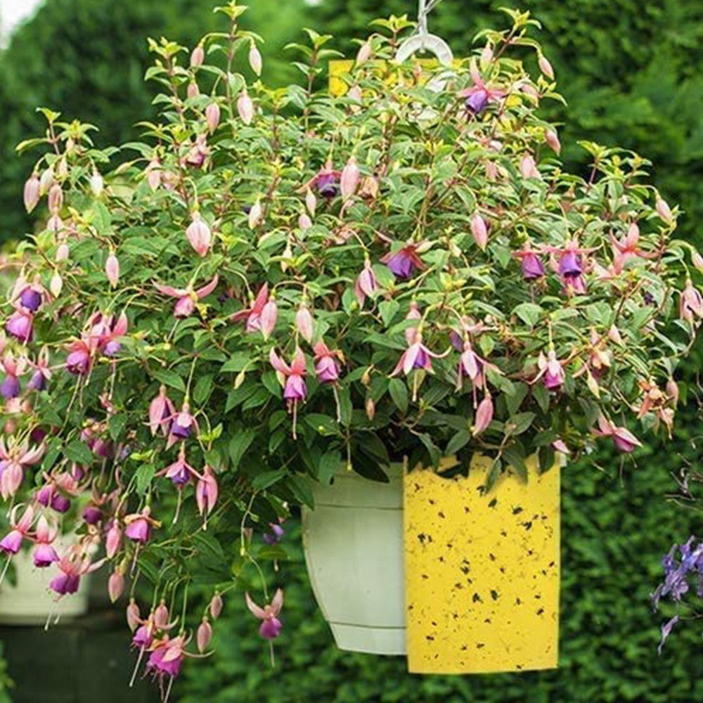 40Pcs Dual Sided Yellow Sticky Papers Insect Trap Catcher Killer Fly Aphids Wasp