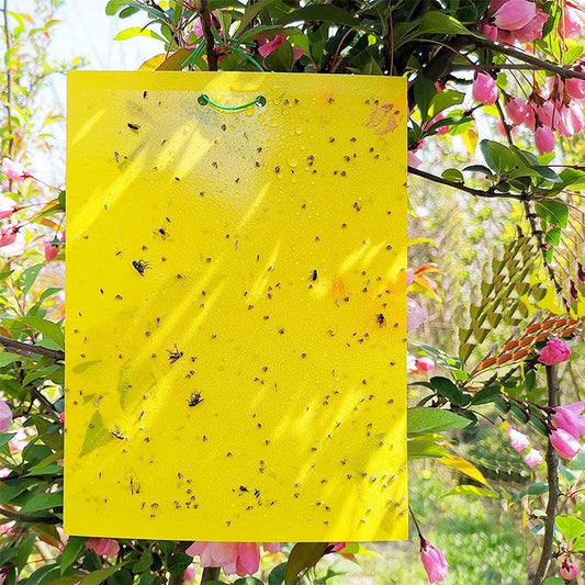 40Pcs Dual Sided Yellow Sticky Papers Insect Trap Catcher Killer Fly Aphids Wasp