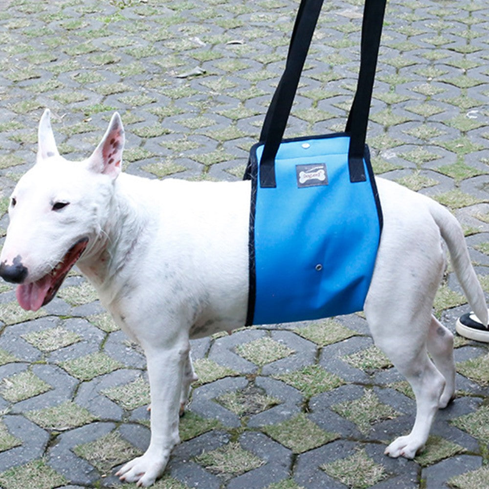 Dog Lift Support Harness Walking Vest Assist Elderly Canine Climb Stairs Blue M