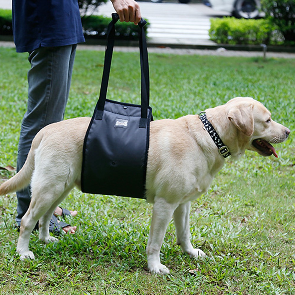 Dog Lift Support Harness Walking Vest Assist Elderly Canine Climb Stairs Grey XL