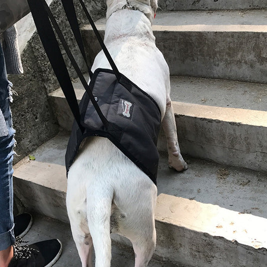 Dog Lift Support Harness Walking Vest Assist Elderly Canine Climb Stairs Grey XL