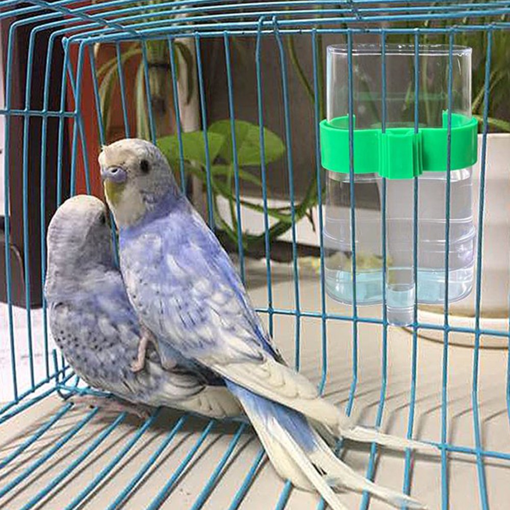 4Pcs Automatic Bird Water Food Dispenser Bird Water Feeder Seed Food Container