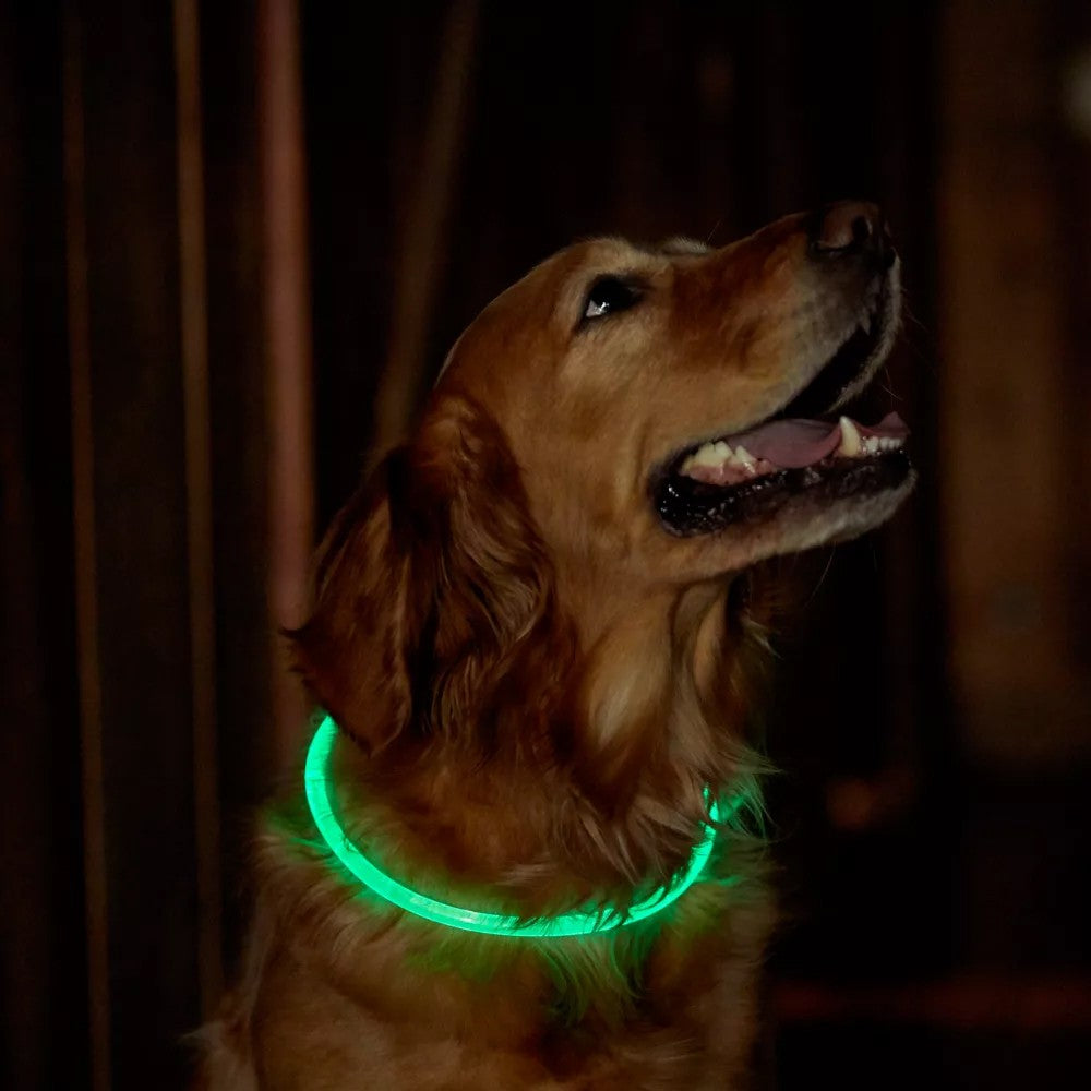 50cm Light-Up Pet Dog Collars Flashing Dog Collar USB Rechargeable Adjustable Pet Collar Green Light