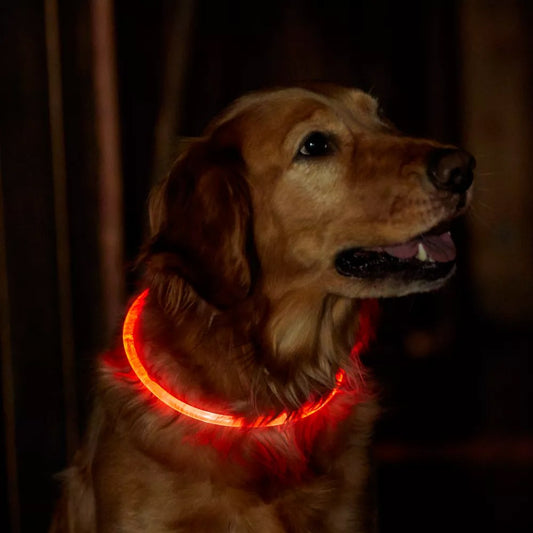 70cm Light-Up Pet Dog Collars Flashing Dog Collar USB Rechargeable Adjustable Pet Collar Red Light