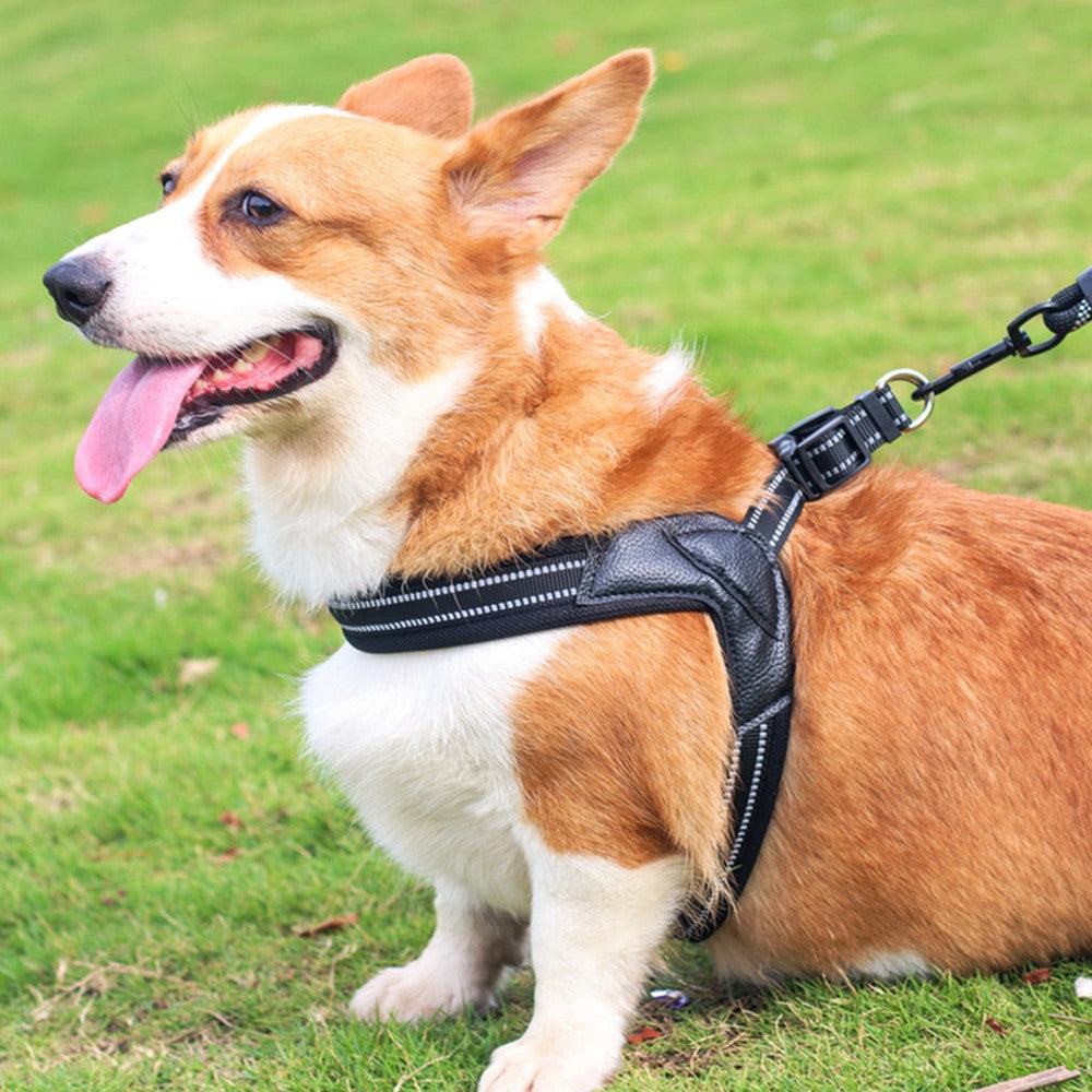 Adjustable No Pull Pet Dog Harness Reflective Pet Dog Vest Pets Accessories Black XS