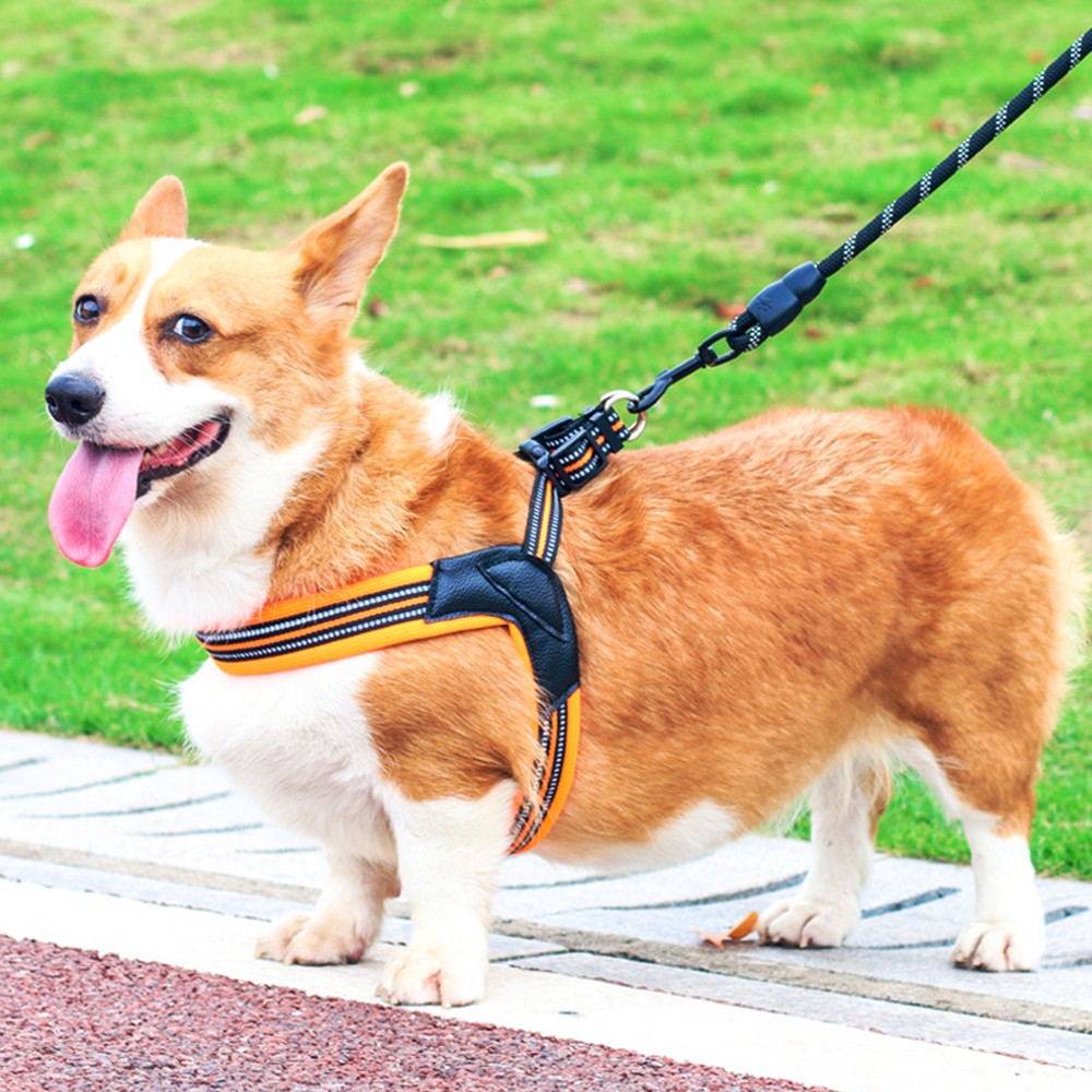Adjustable No Pull Pet Dog Harness Reflective Pet Dog Vest Pets Accessories Orange XS