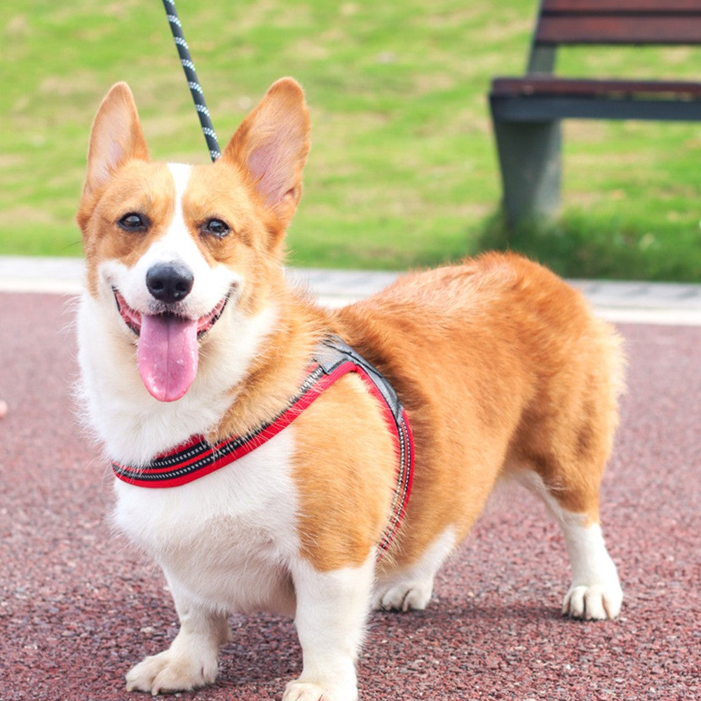 Adjustable No Pull Pet Dog Harness Reflective Pet Dog Vest Pets Accessories Red L