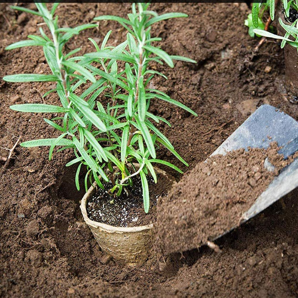 50Pcs Seedling Starters Cups Peat Pots Plant Vegetable Seed Tray Garden Planting Tool