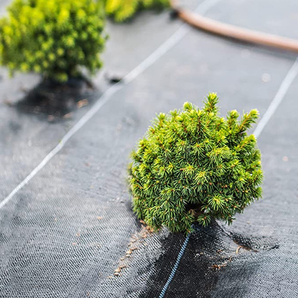 1mx10m Weed Barrier Landscape Fabric Weed Blocker Ground Cover for Gardening Greenhouse