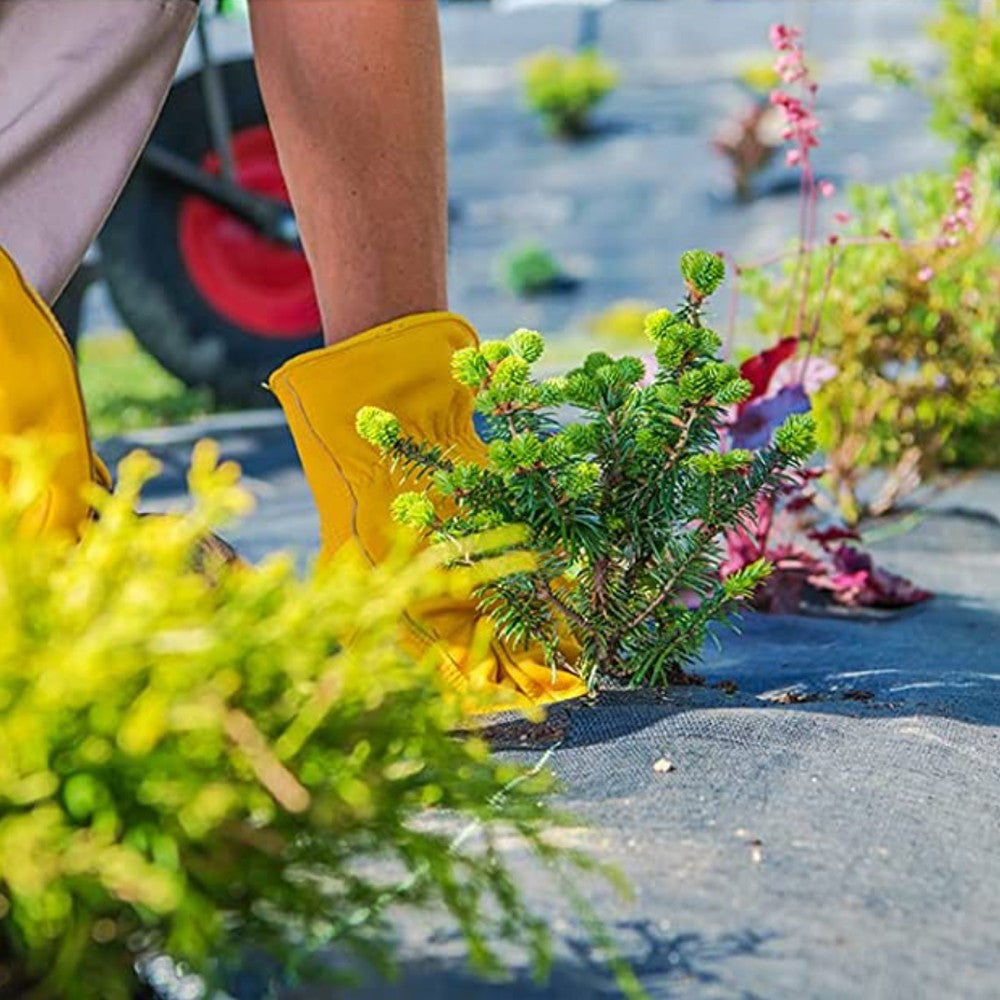 1mx5m Weed Barrier Landscape Fabric Weed Blocker Ground Cover for Gardening Greenhouse