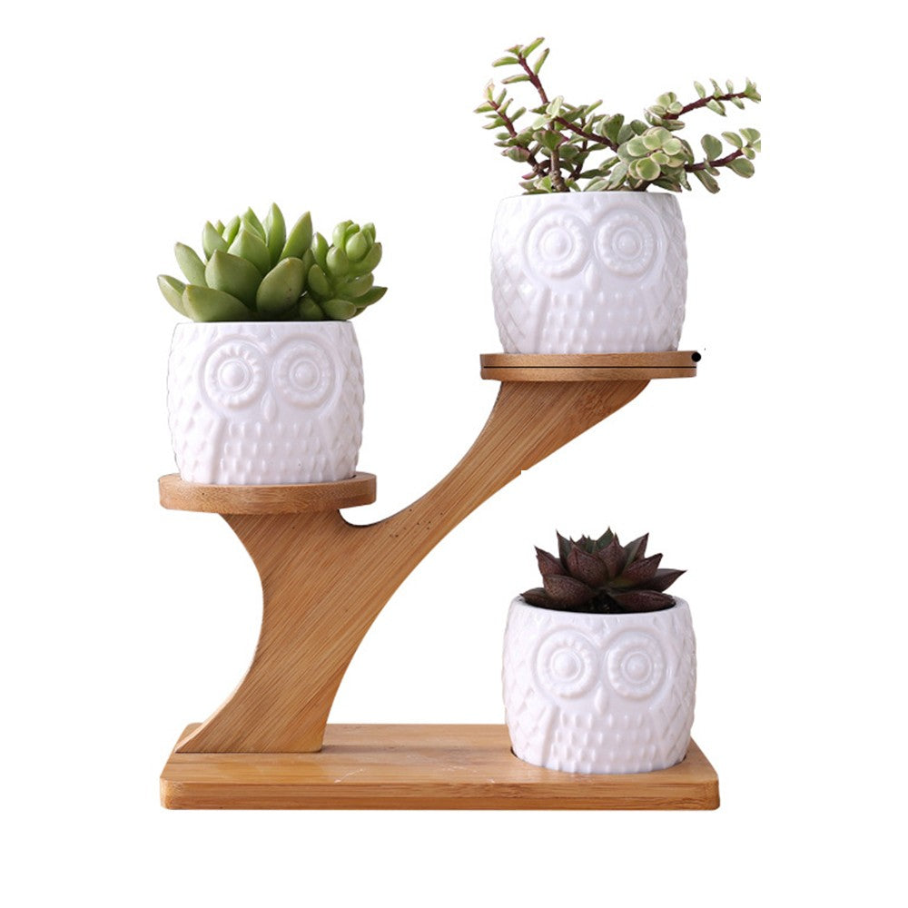 3Pcs Owl Style Succulent Pots with 3 Tier Bamboo Saucers Stand Holder Ceramic Plant Flower Pot Home Decor