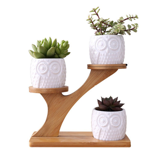 3Pcs Owl Style Succulent Pots with 3 Tier Bamboo Saucers Stand Holder Ceramic Plant Flower Pot Home Decor