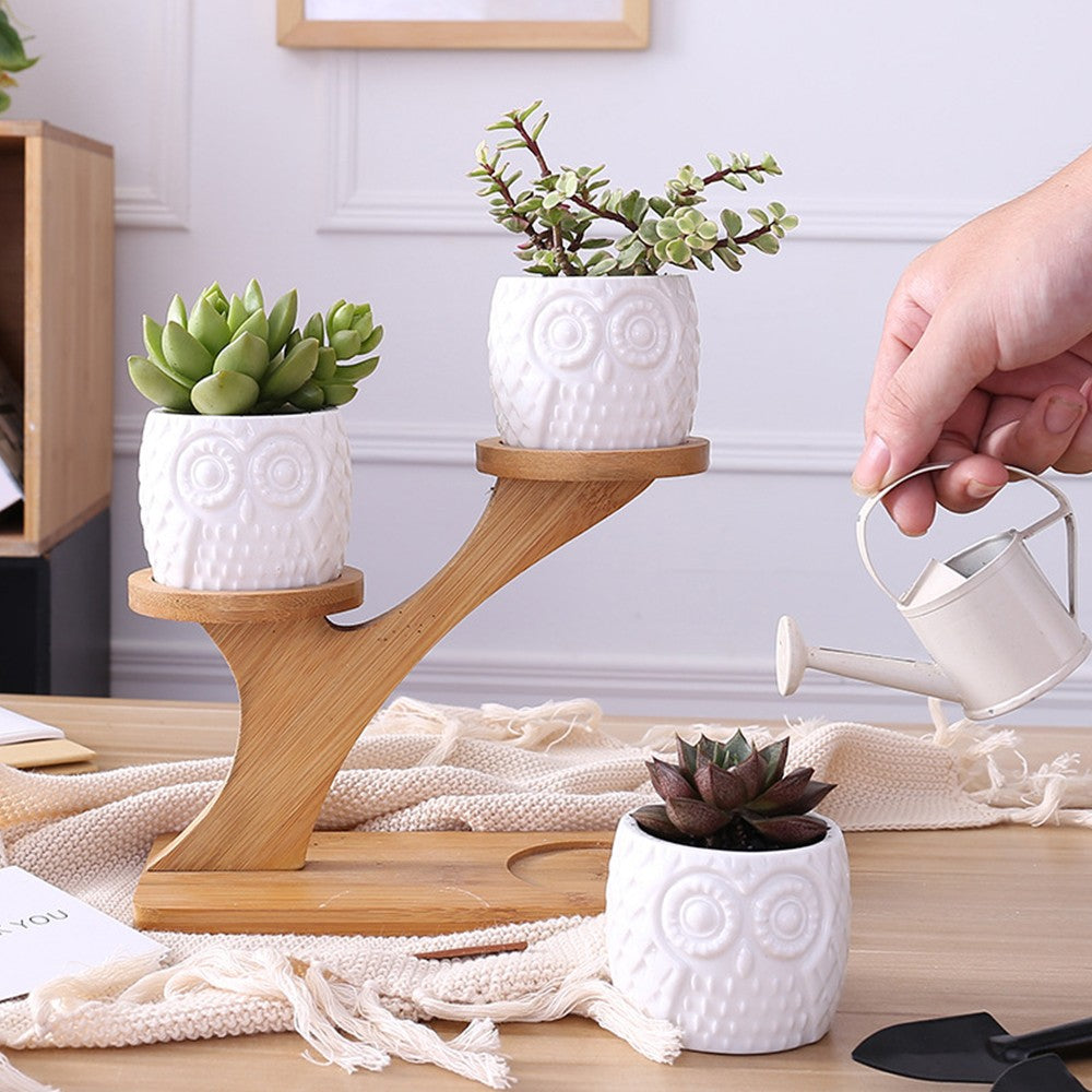 3Pcs Owl Style Succulent Pots with 3 Tier Bamboo Saucers Stand Holder Ceramic Plant Flower Pot Home Decor