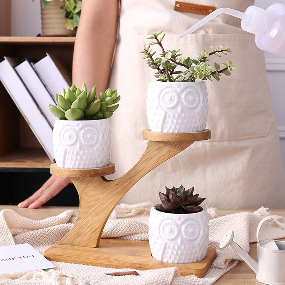 3Pcs Owl Style Succulent Pots with 3 Tier Bamboo Saucers Stand Holder Ceramic Plant Flower Pot Home Decor