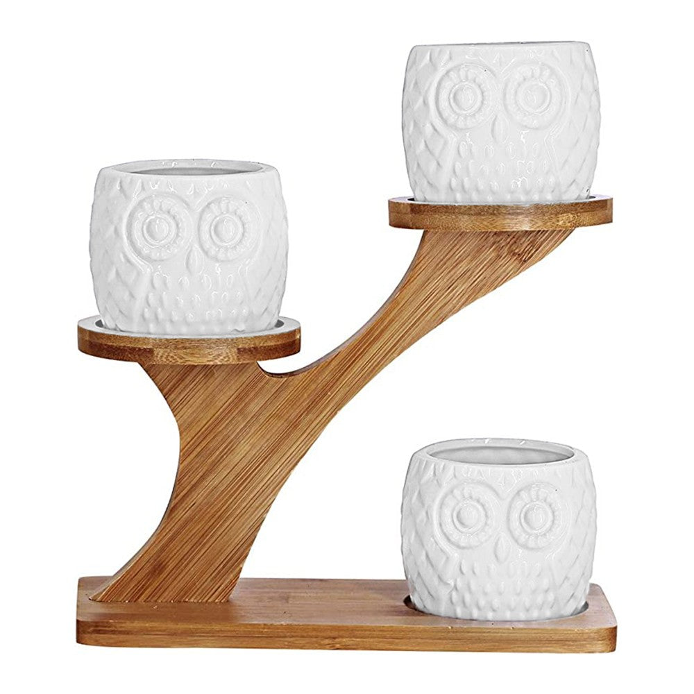 3Pcs Owl Style Succulent Pots with 3 Tier Bamboo Saucers Stand Holder Ceramic Plant Flower Pot Home Decor