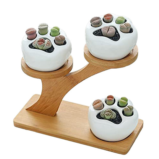 3Pcs Cat Paw Style Succulent Pots with 3 Tier Bamboo Saucers Stand Holder Ceramic Plant Flower Pot Home Decor