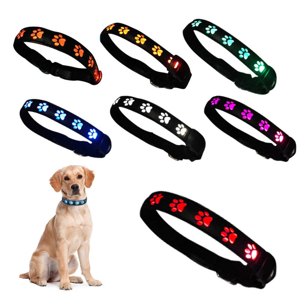 Light Up Dog Collar and Leash Set USB Rechargeable LED Pet Collar for Night Walking Safety S