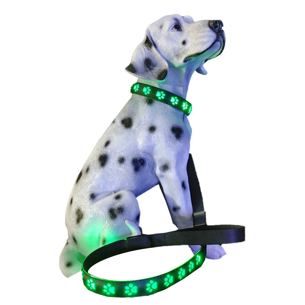 Light Up Dog Collar and Leash Set USB Rechargeable LED Pet Collar for Night Walking Safety S