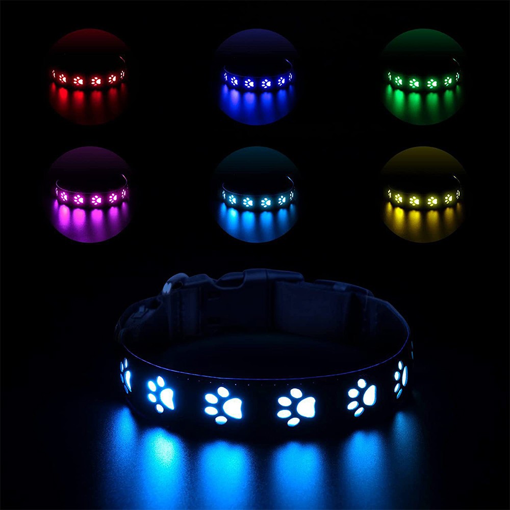 Light Up Dog Collar and Leash Set USB Rechargeable LED Pet Collar for Night Walking Safety XS