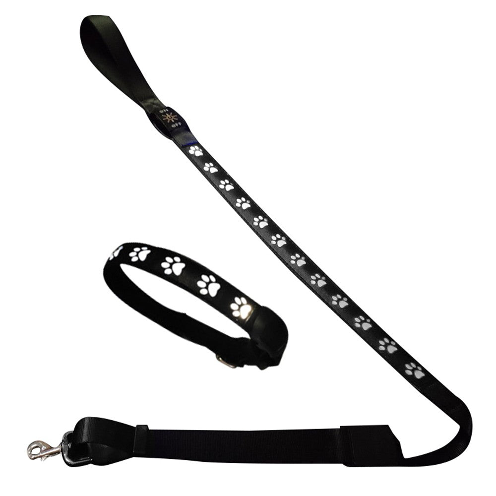 Light Up Dog Collar and Leash Set USB Rechargeable LED Pet Collar for Night Walking Safety XS