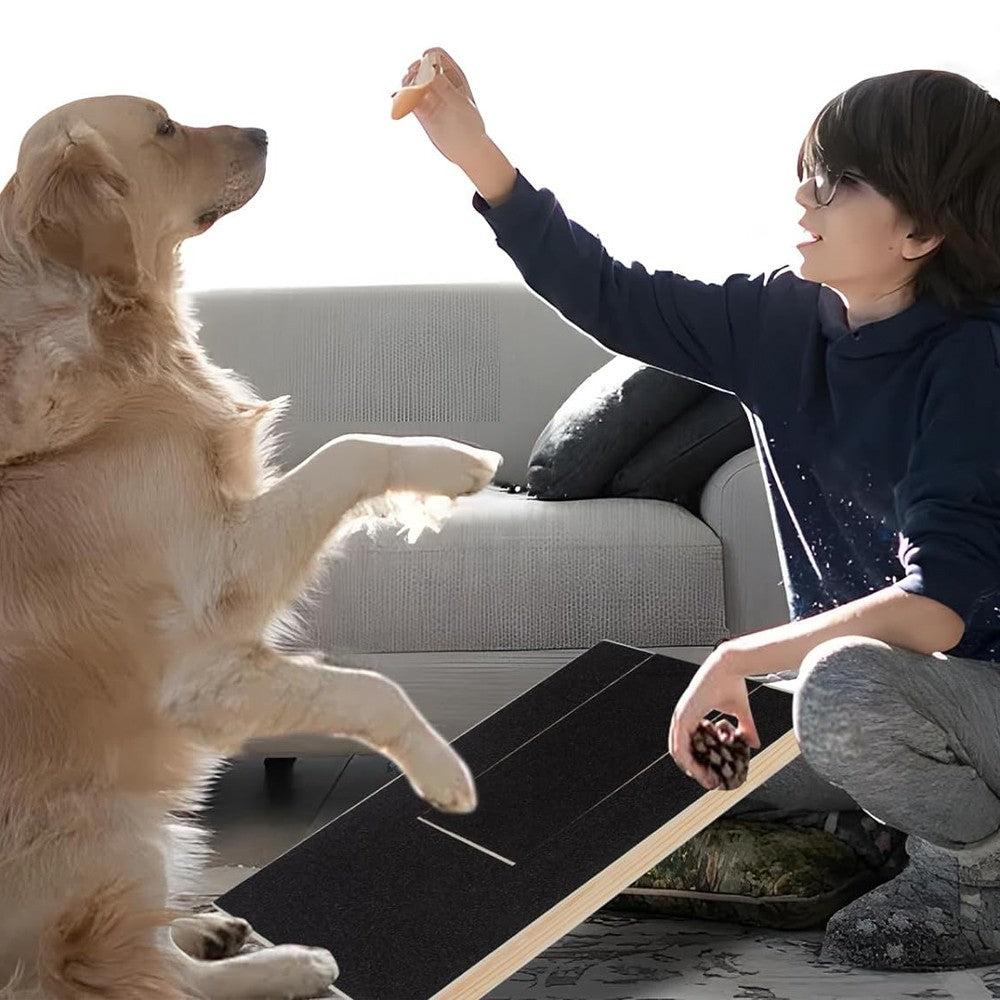 2Pcs Dog Nail Scratching Board Dog Nail File Board with Treat Box