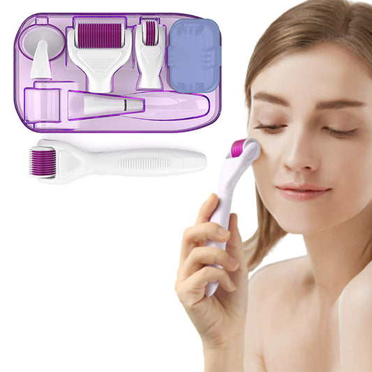 One Set of Personal Care 6-in-1 Derma Rollers-Purple