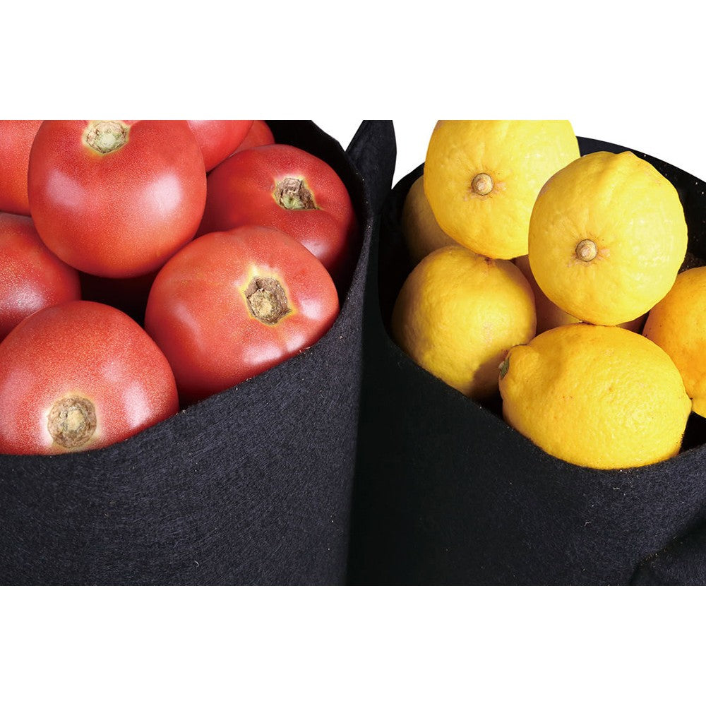 5X 5 Gallon Garden Plant Grow Bags Non-woven Fabric Bag Food Fruit Vegetable Storage Bags