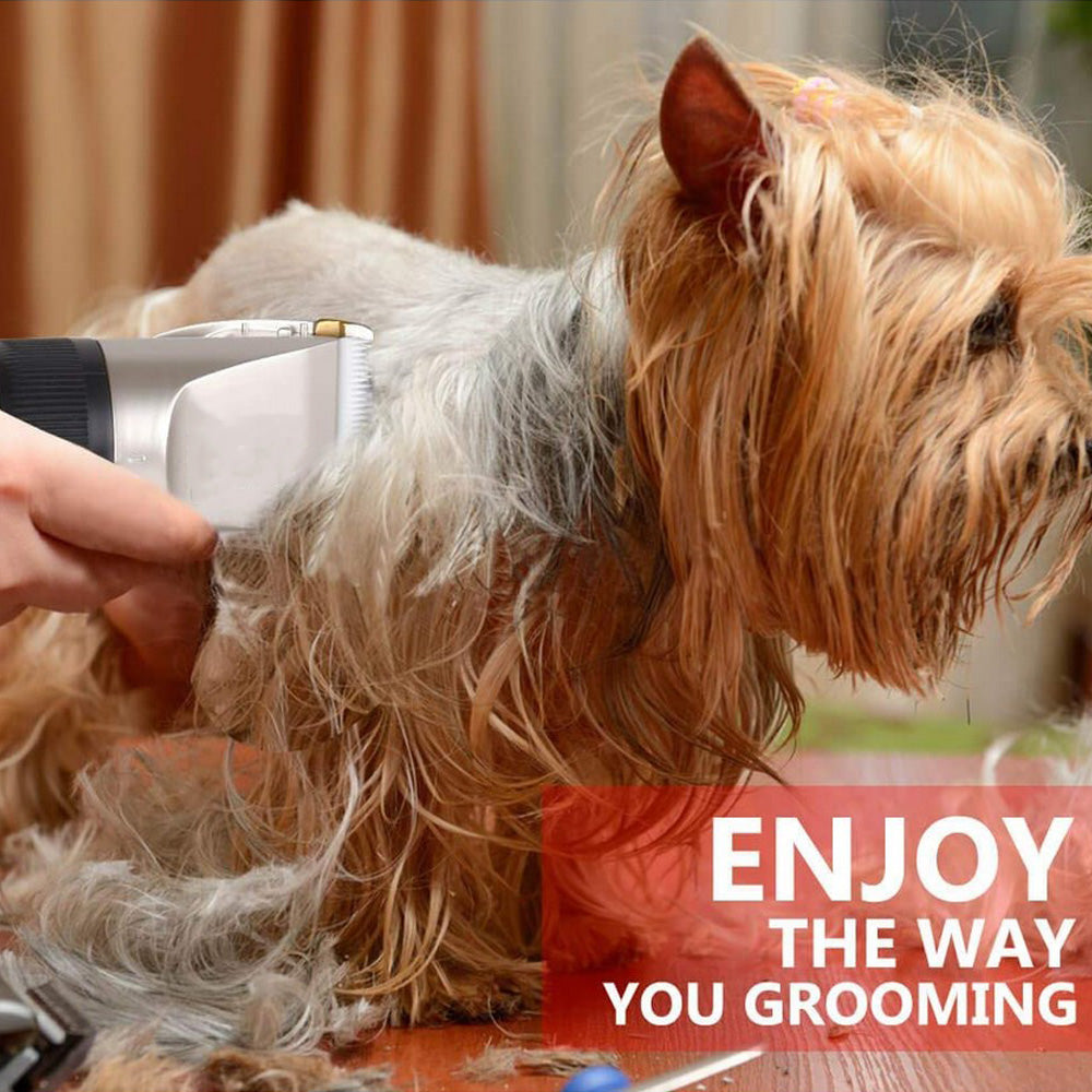 USB Cordless Electric Dog Hair Clipper Set