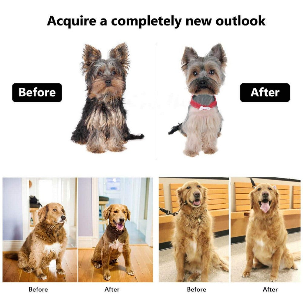 USB Cordless Electric Dog Hair Clipper Set
