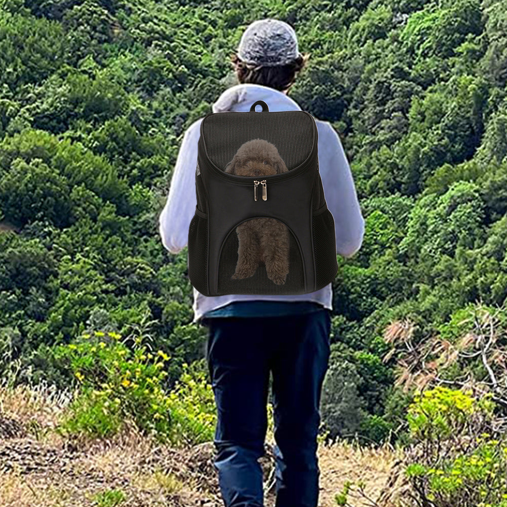 Pet Carrier Bag Outdoor Travel Space Backpack Black