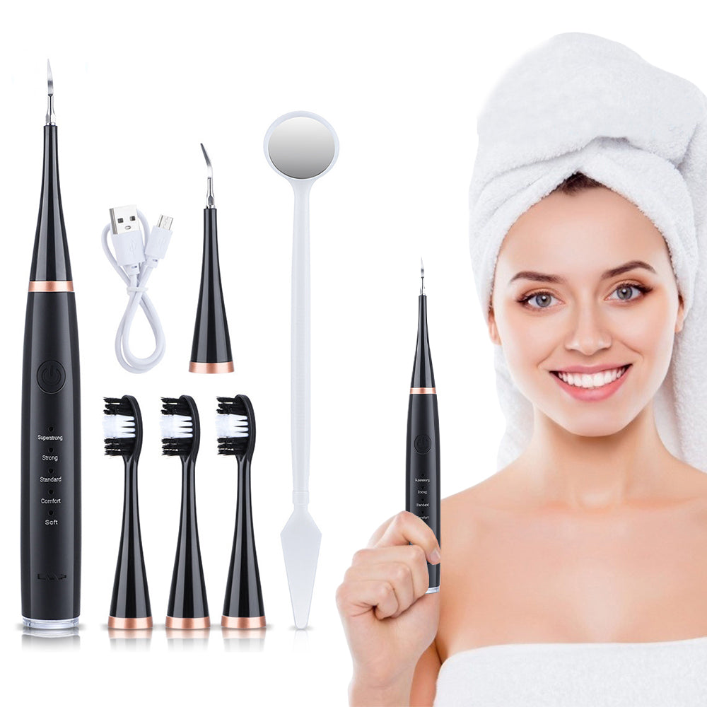 Electric Sonic Dental Plaque Remover and Toothbrush Heads Kit Black