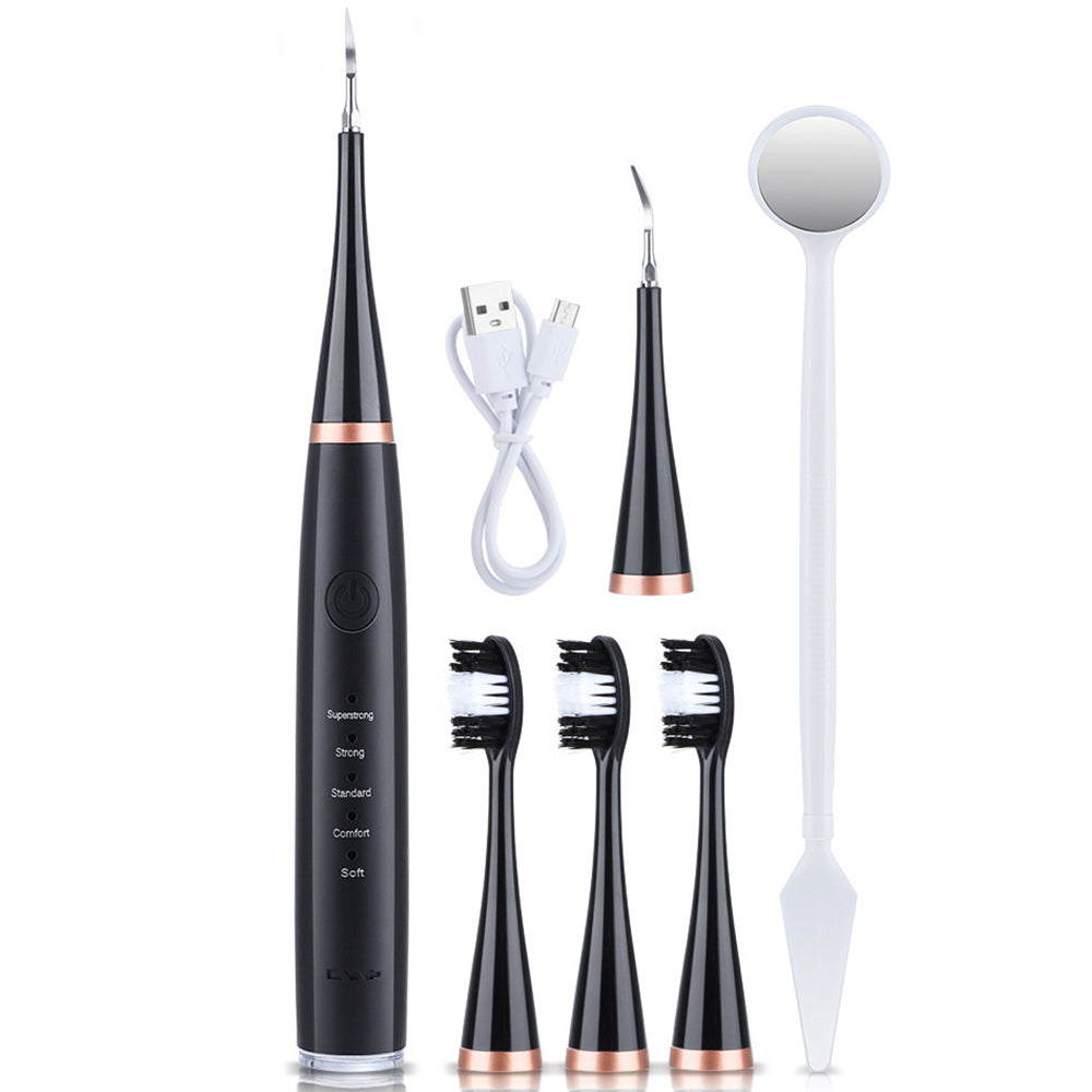 Electric Sonic Dental Plaque Remover and Toothbrush Heads Kit Black
