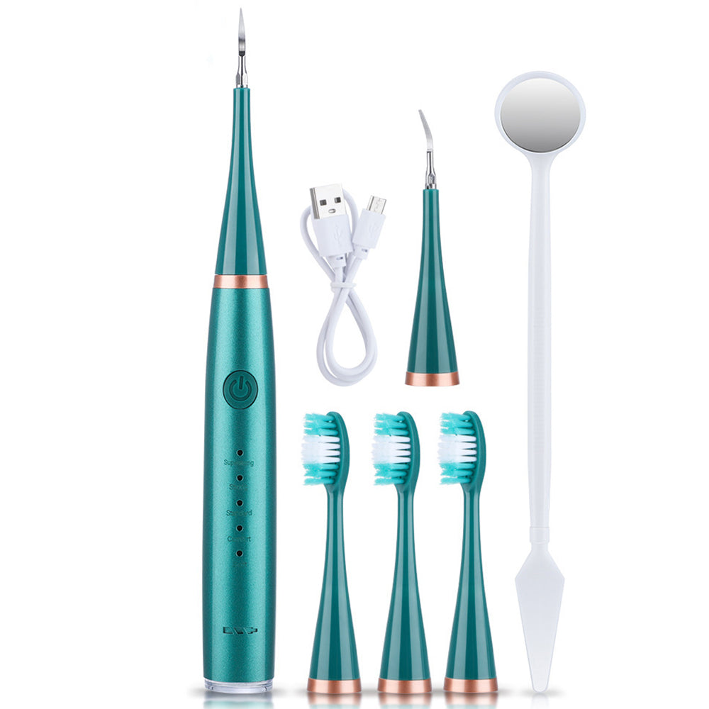 Electric Sonic Dental Plaque Remover and Toothbrush Heads Kit Green