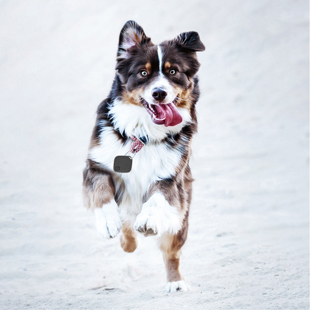 Bluetooth Key Finder Pet Tracker Black