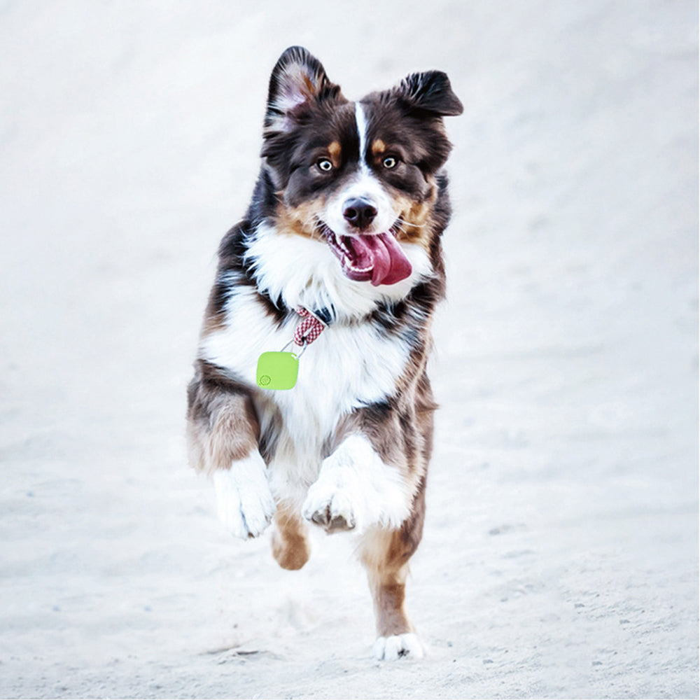 Bluetooth Key Finder Pet Tracker Green