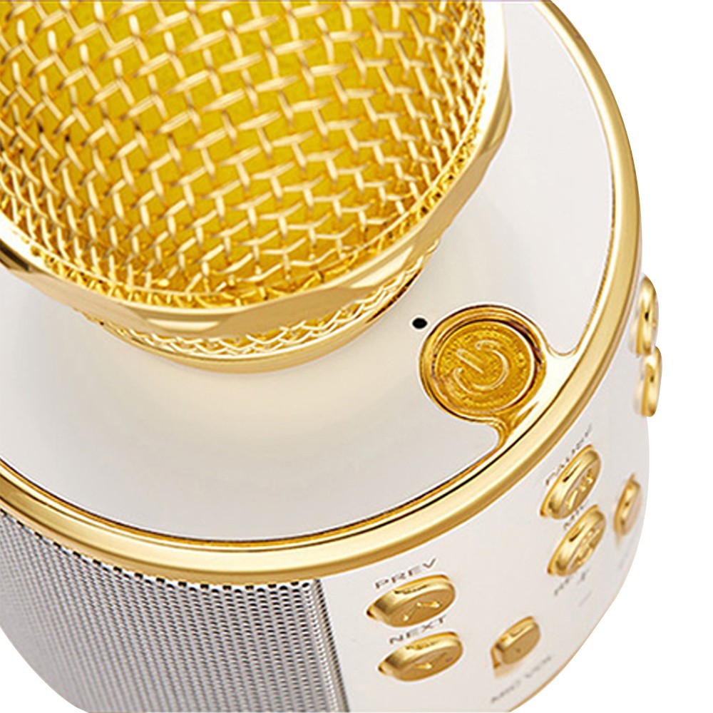 Bluetooth Wireless Karaoke Microphone with LED Lights Portable Handheld Mic Speaker Gold