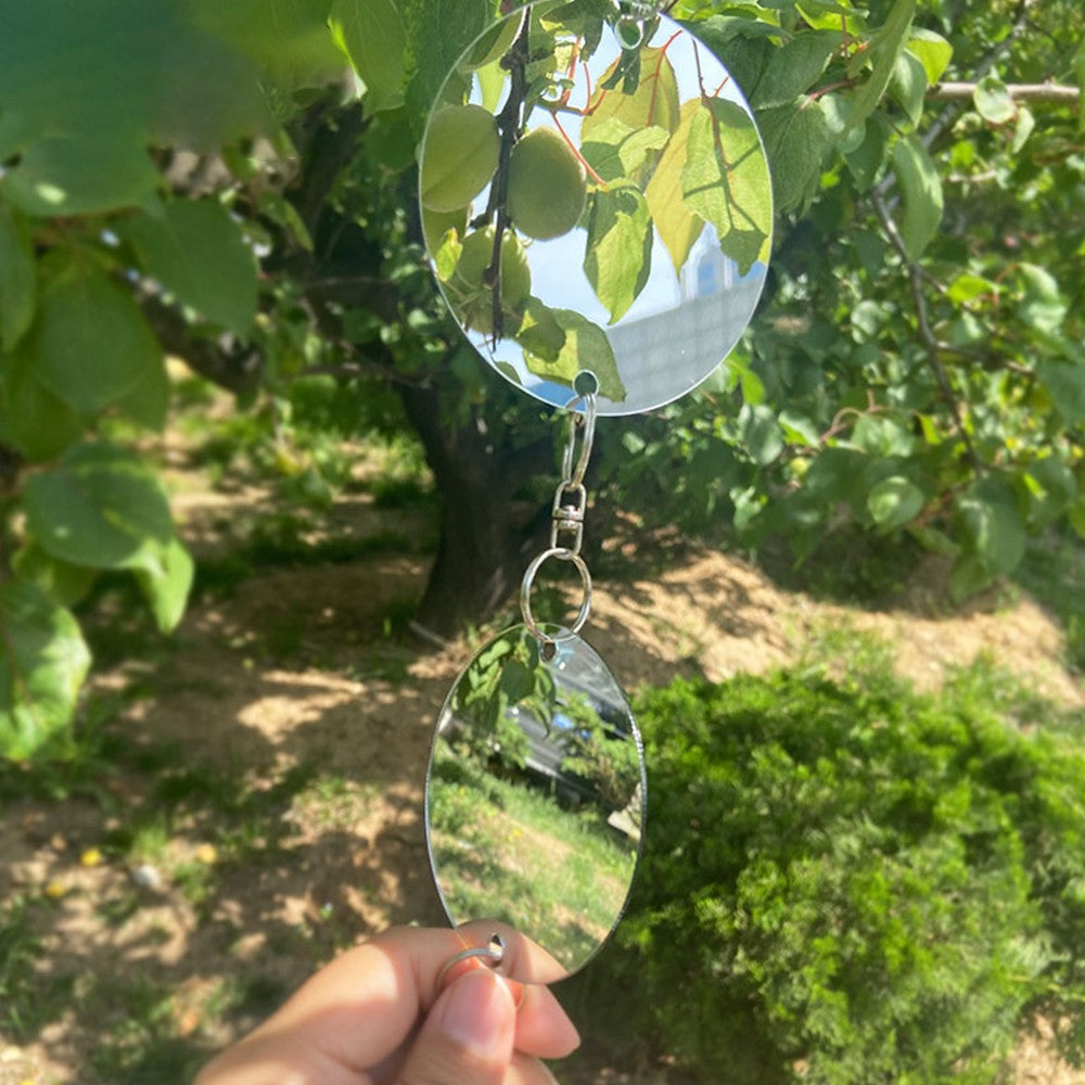 8 Sets of Double Sided Reflective Bird Repellent Discs Bird Scare for Farmland