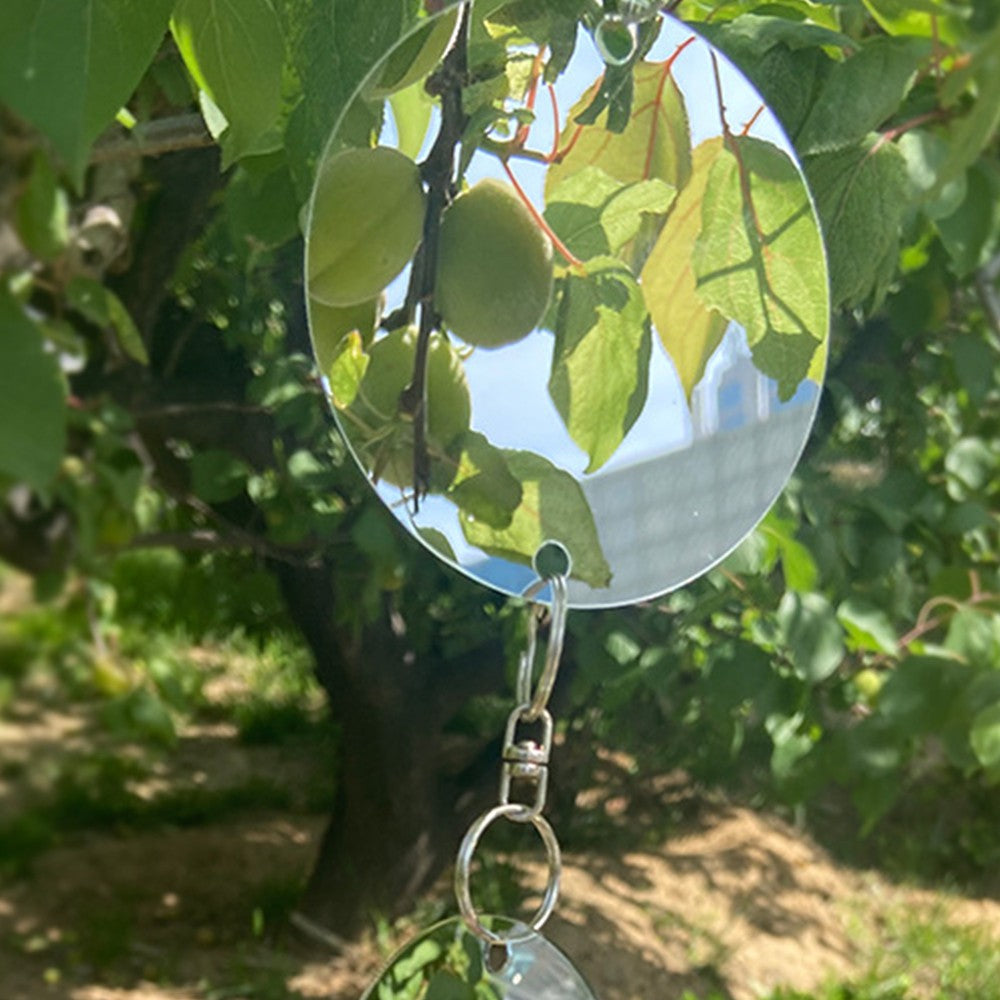 8 Sets of Double Sided Reflective Bird Repellent Discs Bird Scare for Farmland